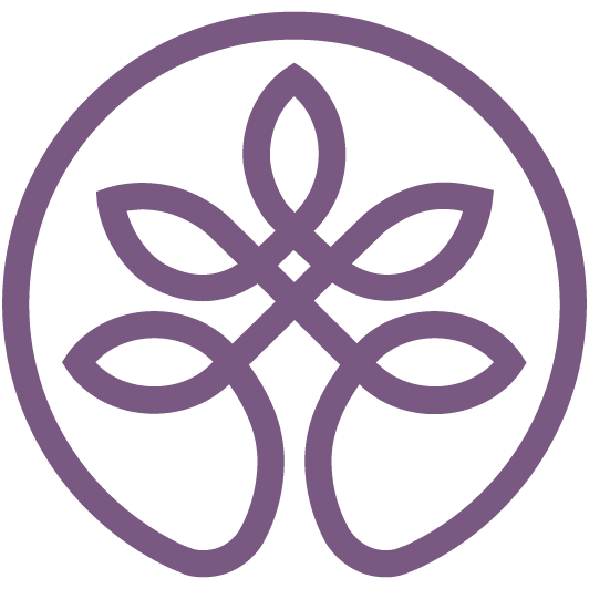 SOH logo icon